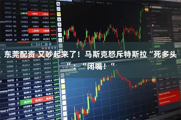 东莞配资 又吵起来了!马斯克怒斥特斯拉“死多头”:“闭嘴!”