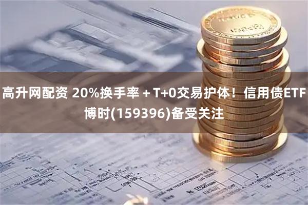高升网配资 20%换手率+T+0交易护体!信用债ETF博时(159396)备受关注